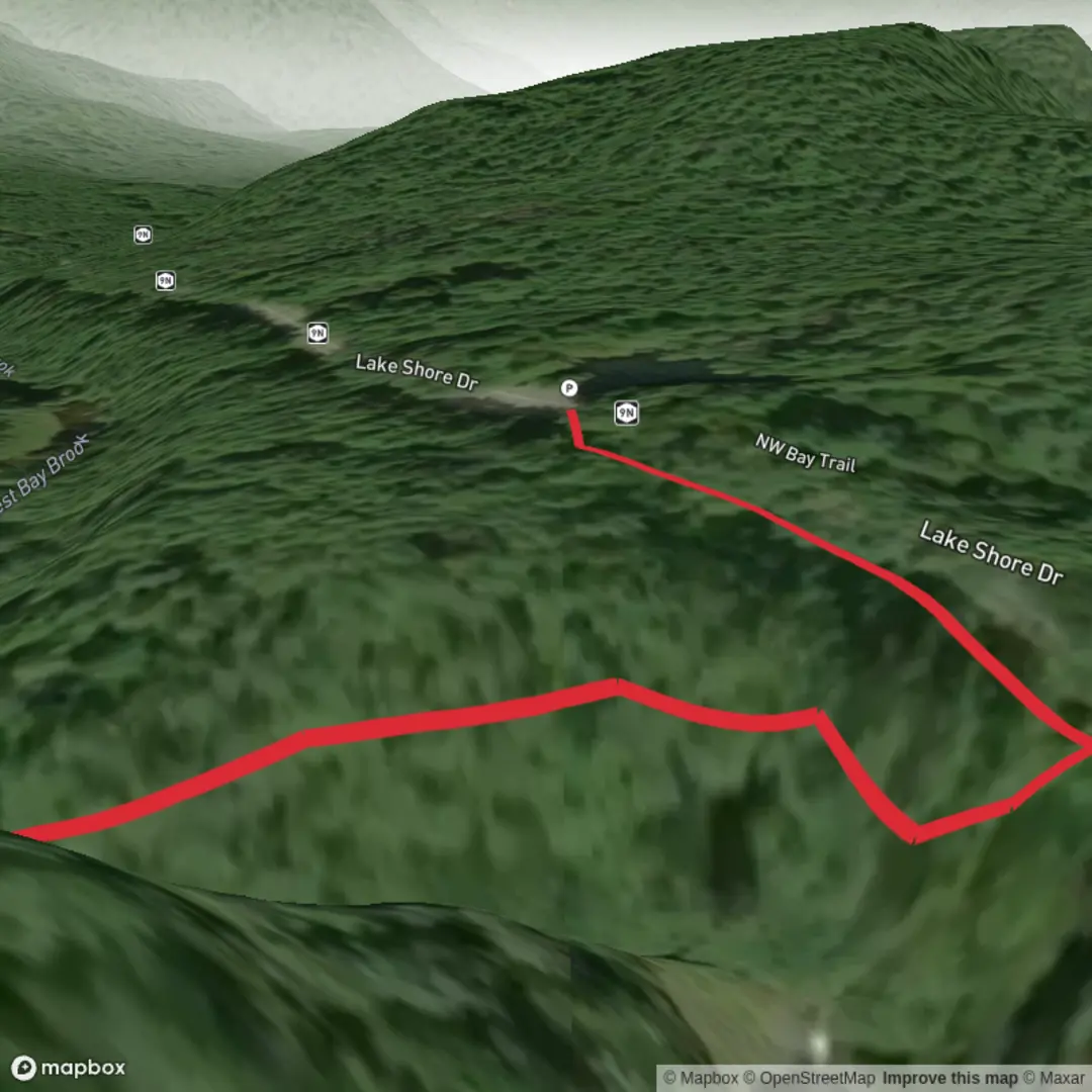 An image depicting the trail Northwest Bay Brook Falls and its surrounding area.