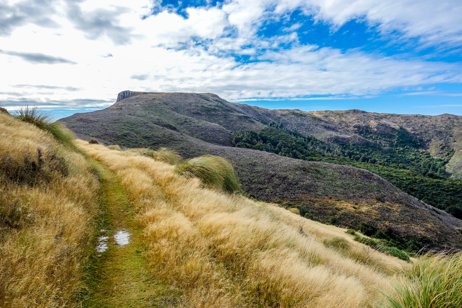 An image depicting the trail Stony Bay Trailhead to Flea Bay Road and its surrounding area.