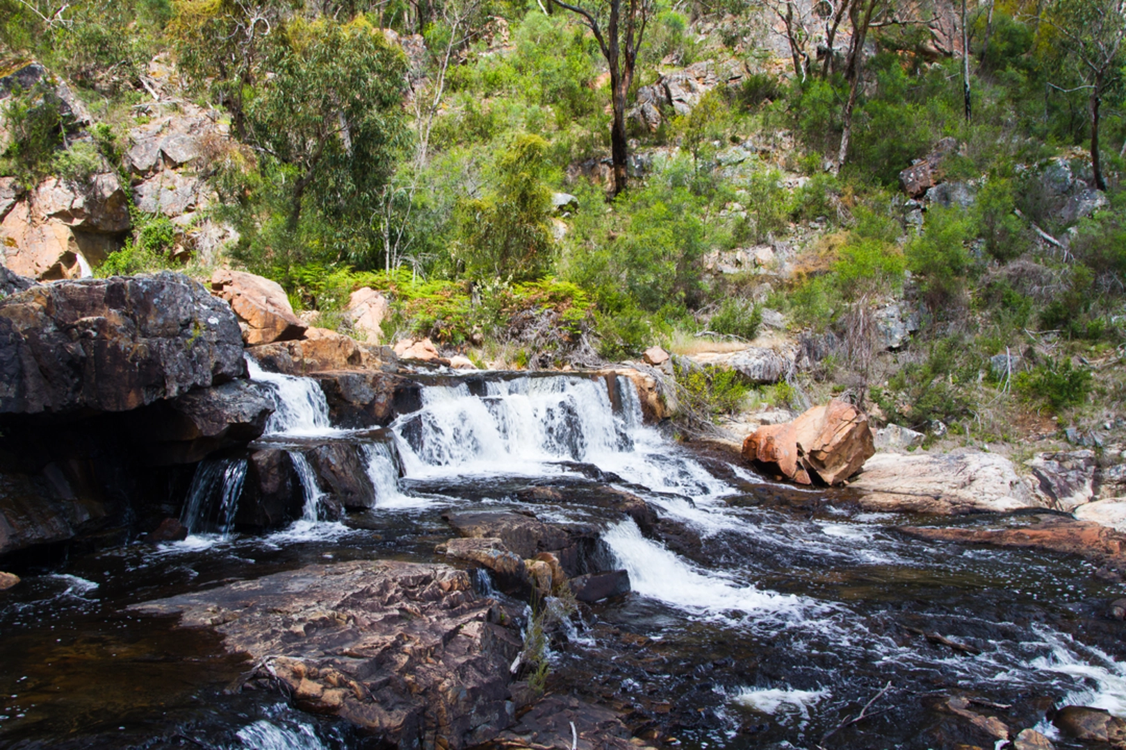 An image depicting the trail MacKenzie Falls Circuit Trail and its surrounding area.