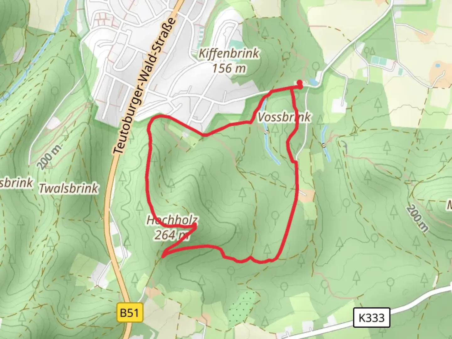 An image depicting the trail Hochholz Loop and its surrounding area.