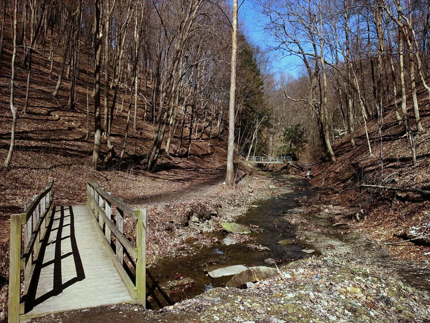 An image depicting the trail Along Fall Run Creek and its surrounding area.