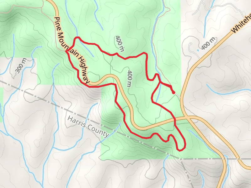 Beaver Pond - White Candle Loop Trail