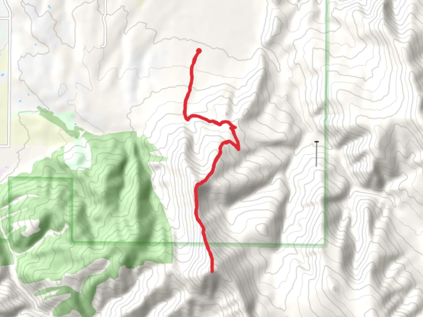 An image depicting the trail Mount Ellis from Mount Ellis Lane and its surrounding area.