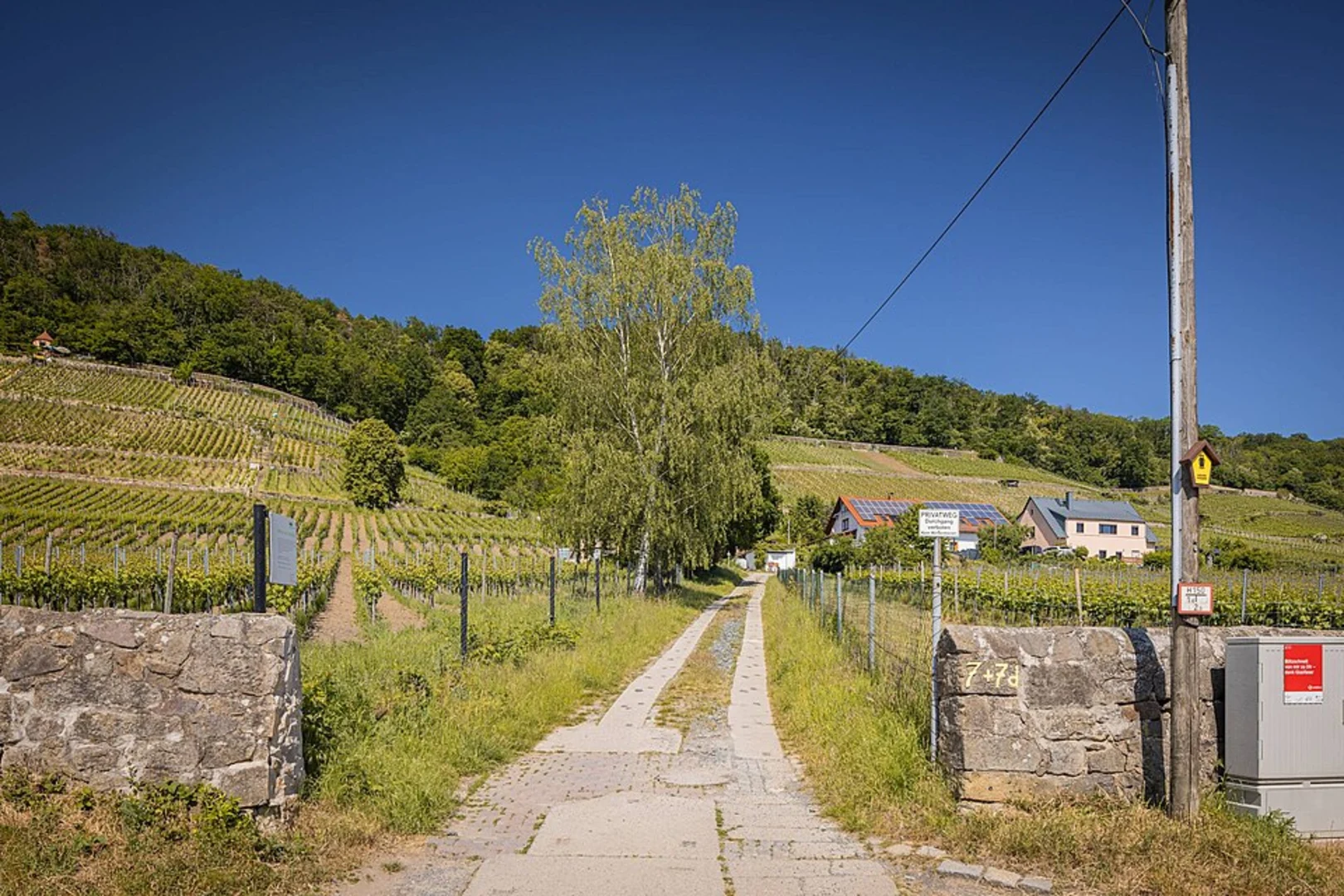 An image depicting the trail Bergweg, Oberhammer and Knüllfeld Loop and its surrounding area.