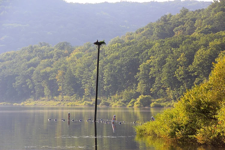 Allegheny River Trail