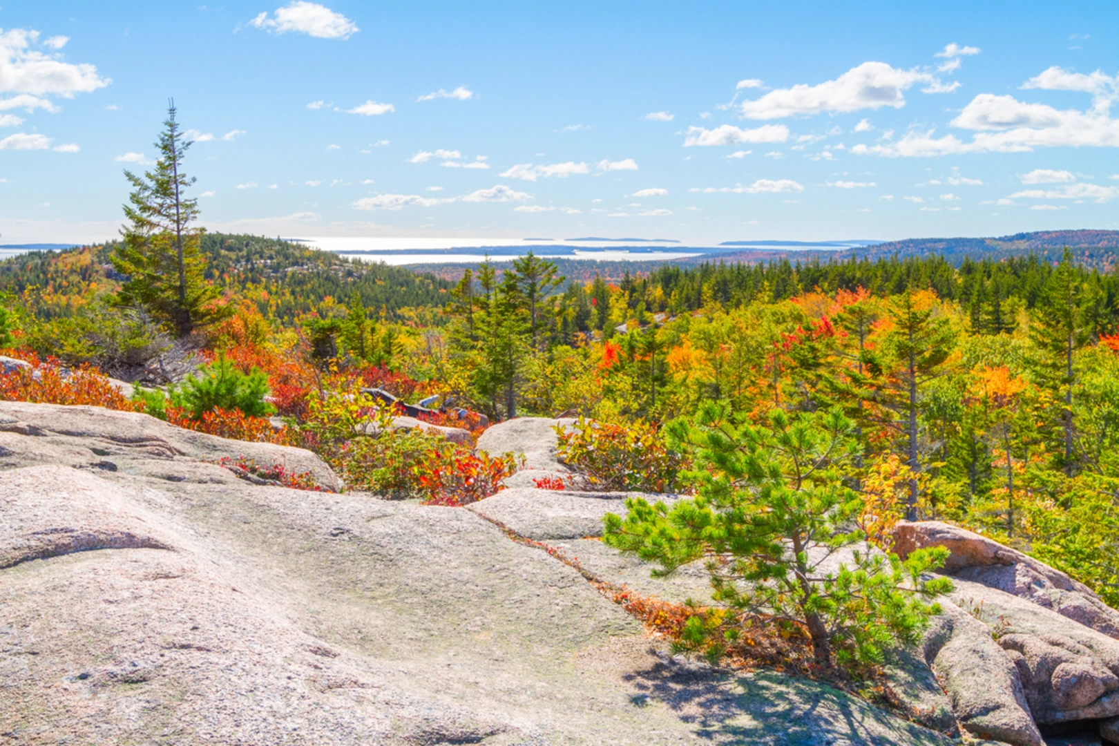 An image depicting the trail Champlain South Ridge Trail and its surrounding area.