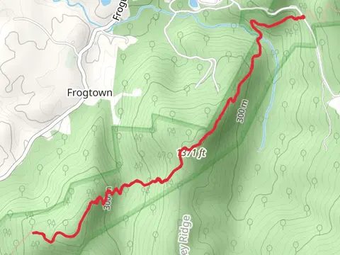 Appalachian Trail from Morgans Mill Road
