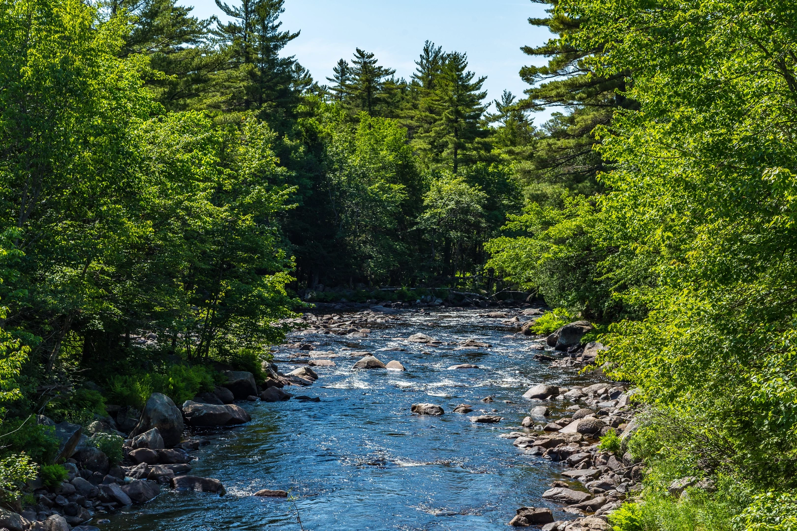 An image depicting the trail Down East Sunrise Trail and its surrounding area.