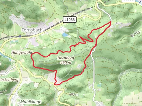 Hornberg Runde and Blaubeerweg