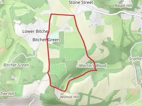 Lavender Plantation and Martin's Wood