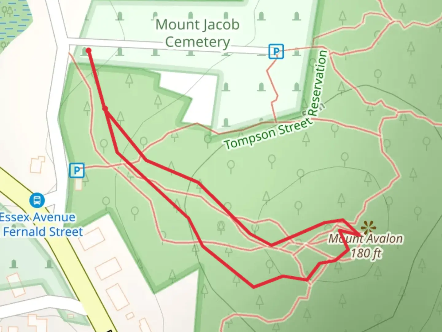 An image depicting the trail Mount Avalon Loop and its surrounding area.