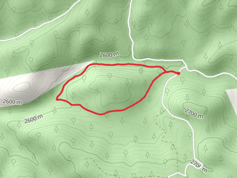 Camp Creek Loop Trail