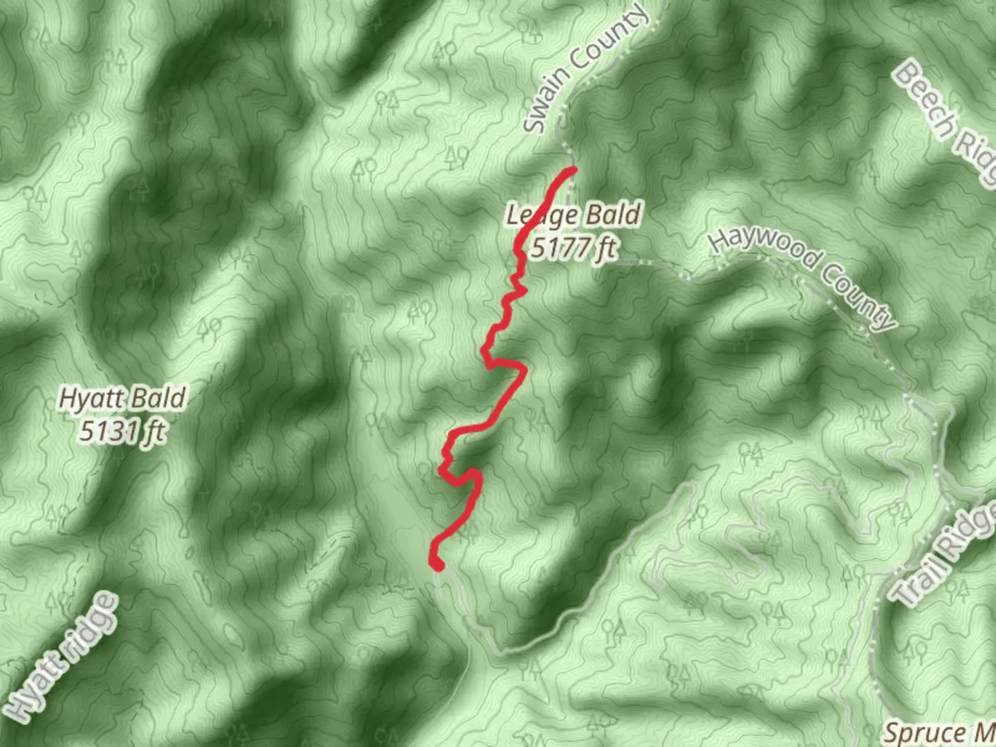 An image depicting the trail Beech Gap Trail and its surrounding area.