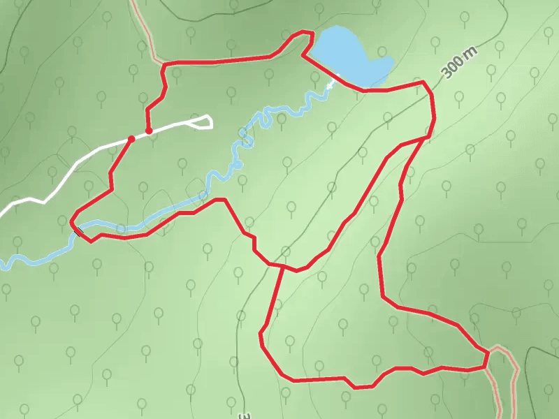 Fitch Natural History Reservation Loop