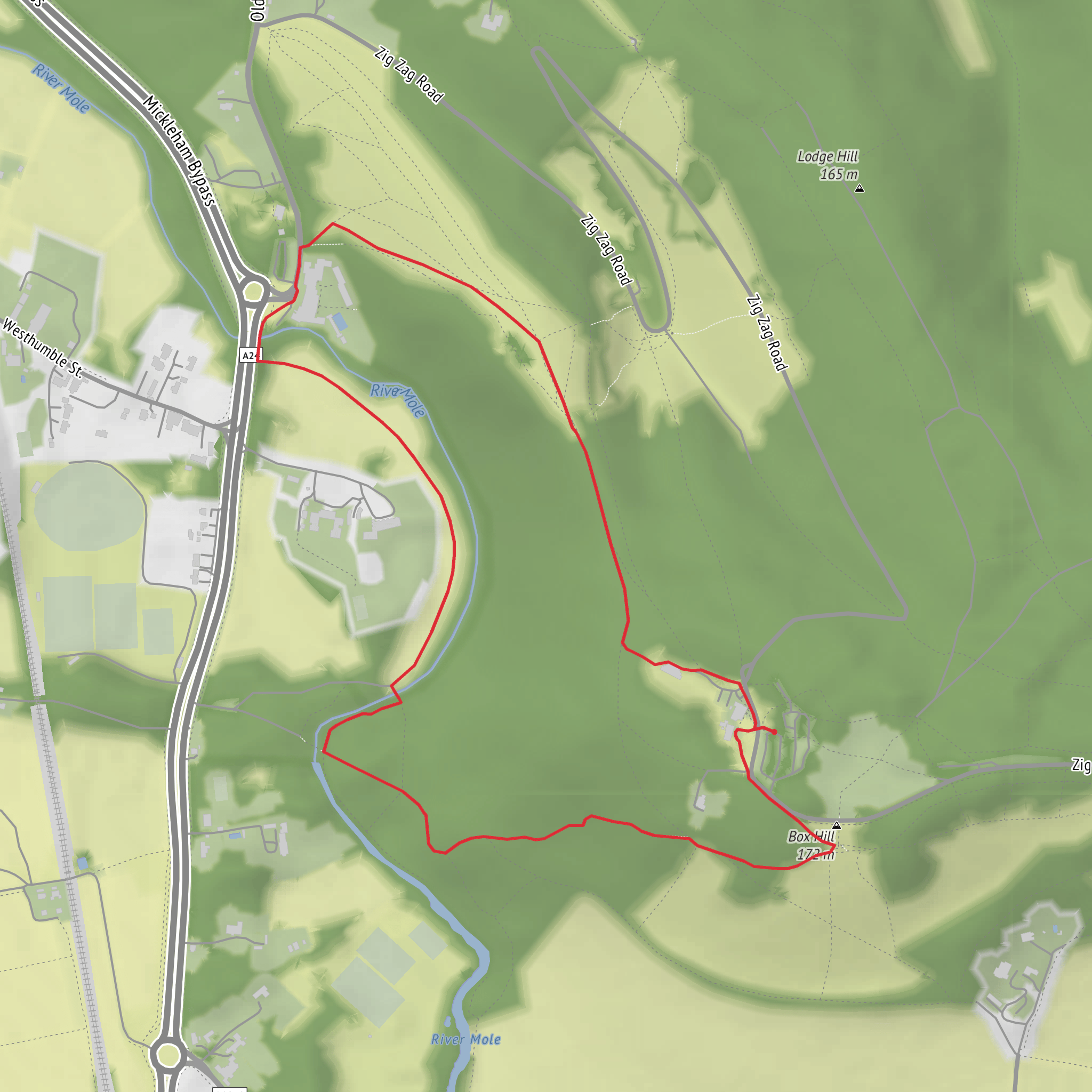 Box Hill Fort Loop mobile static map