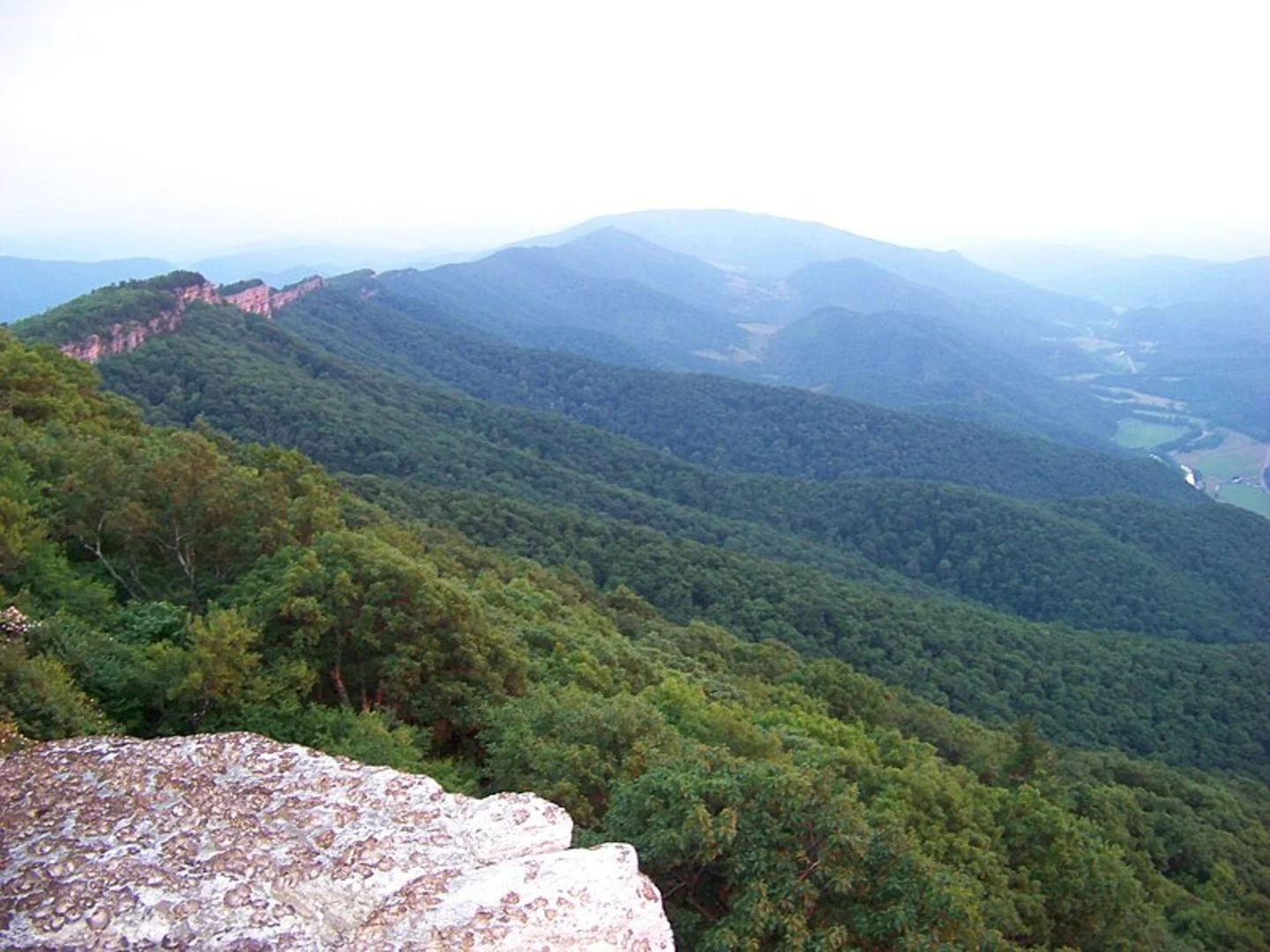 An image depicting the trail Redman Run Trail and its surrounding area.