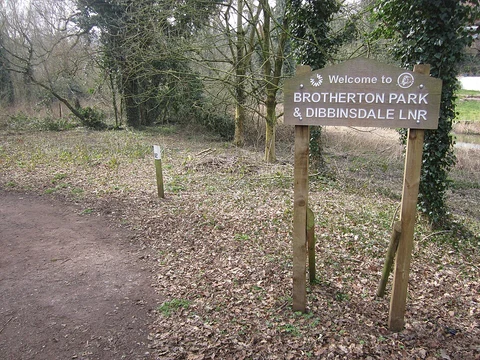 Dibbinsdale and St Patrick Well