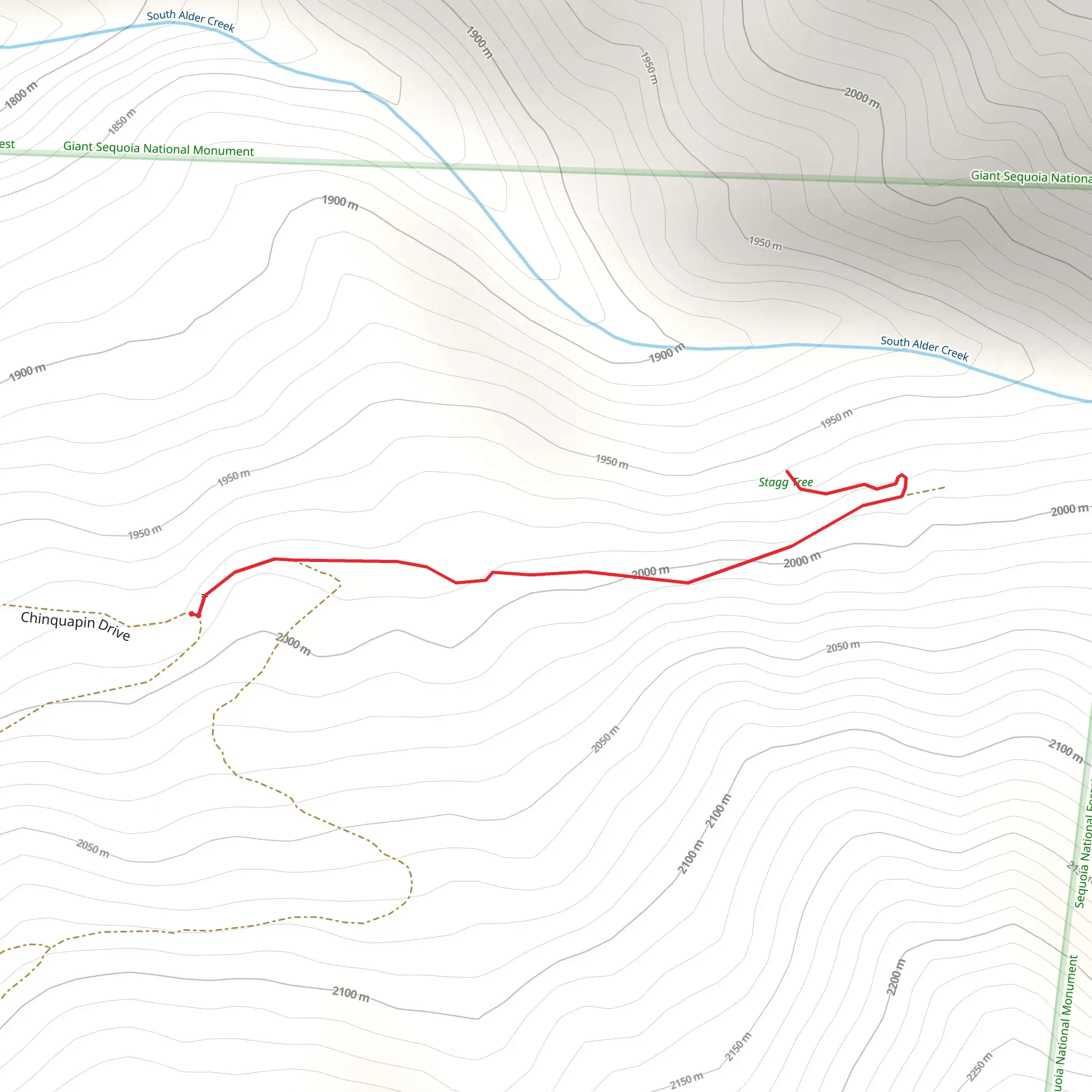 Chinquapin Drive mobile static map