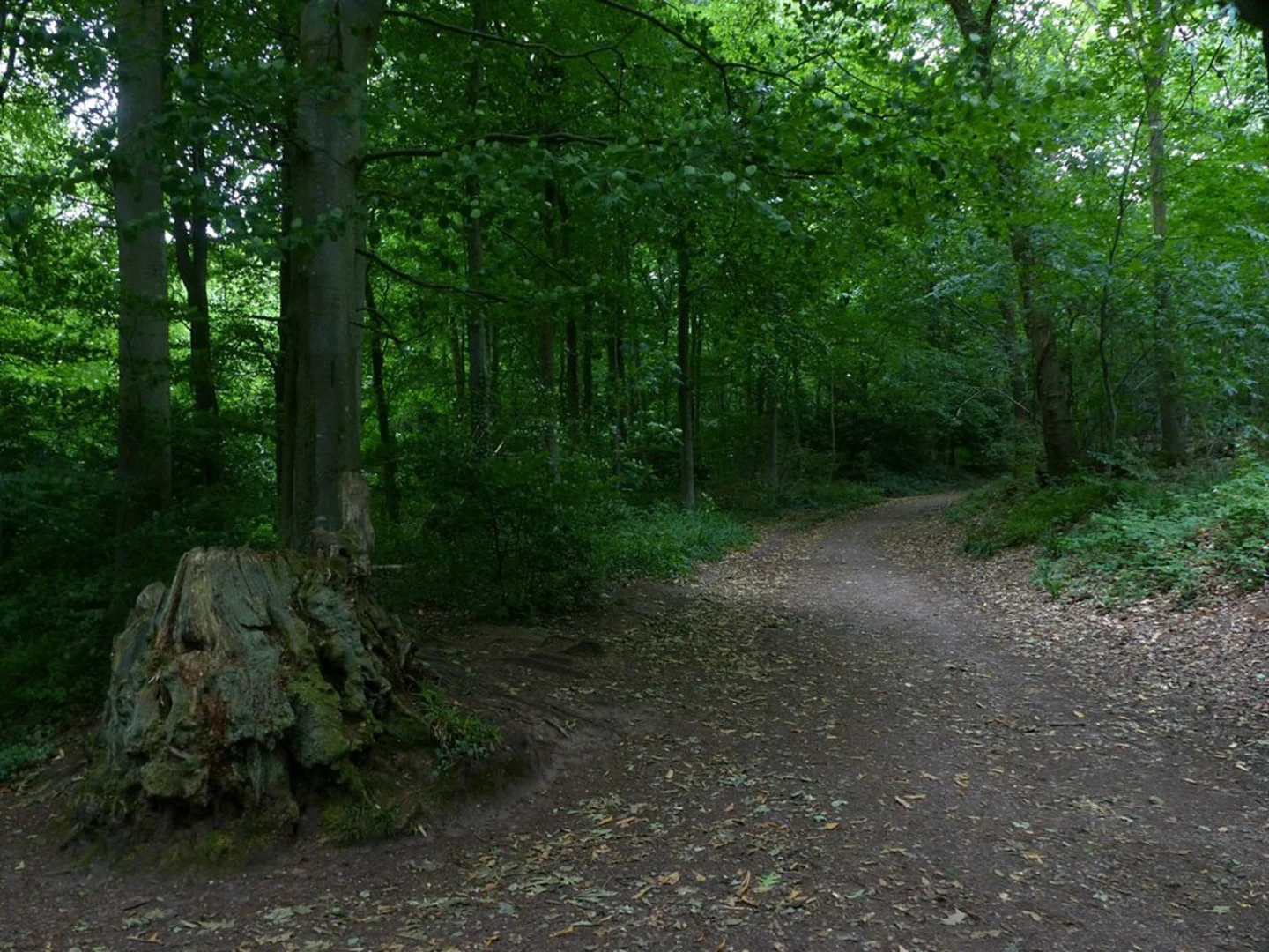 An image depicting the trail River Avon and Leigh Woods NNR Loop and its surrounding area.