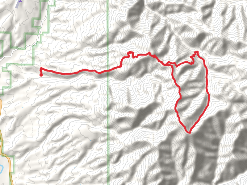 Holt Mountain and Nabours Mountain Loop