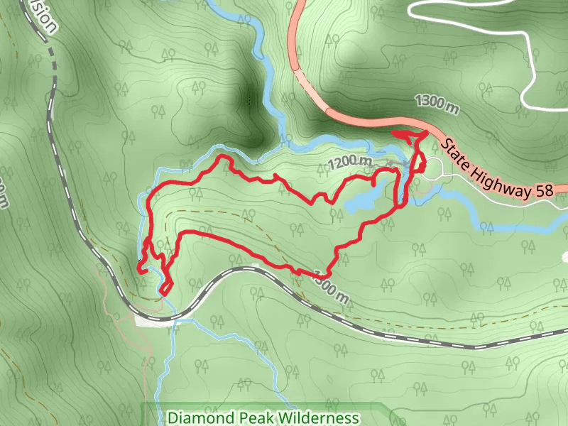Too Much Bear Lake and Diamond Creek Falls Loop Trail