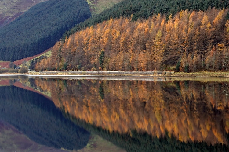 Loch of the Lowes, Peniestone Knowe and Ward Law Loop