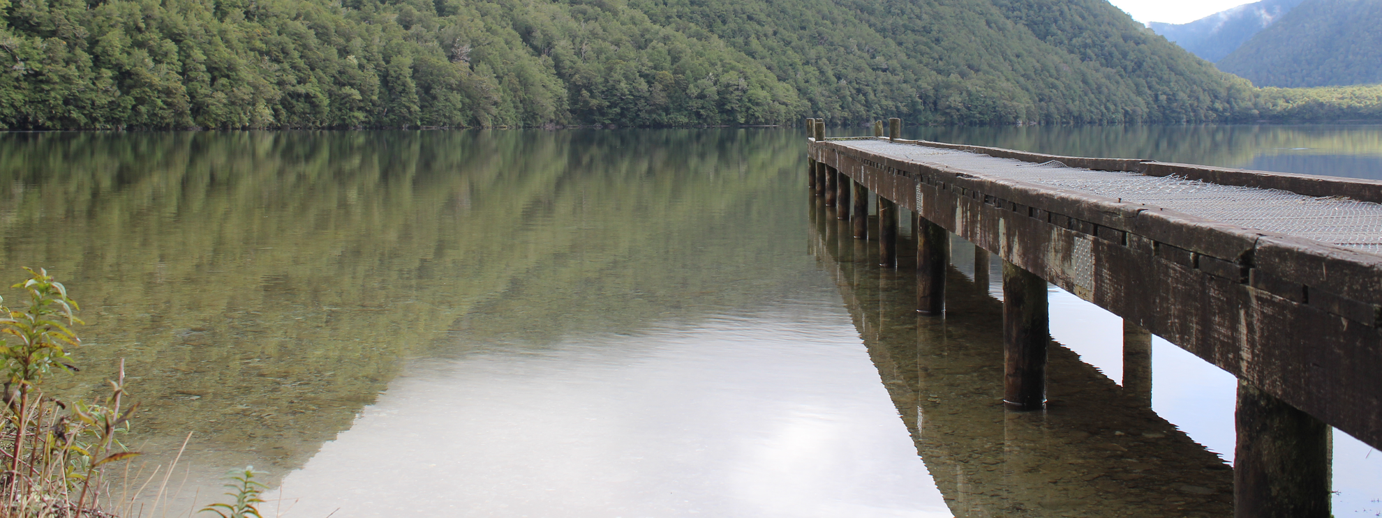 An image depicting the trail Lake Daniell Track and its surrounding area.