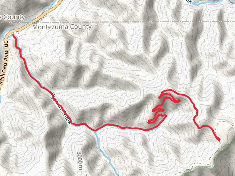 Lower Ryman Trail