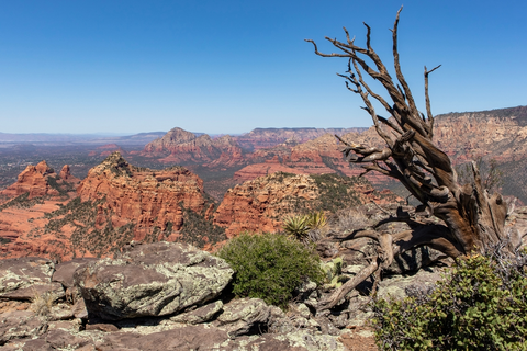 Schnebly Hill Trail
