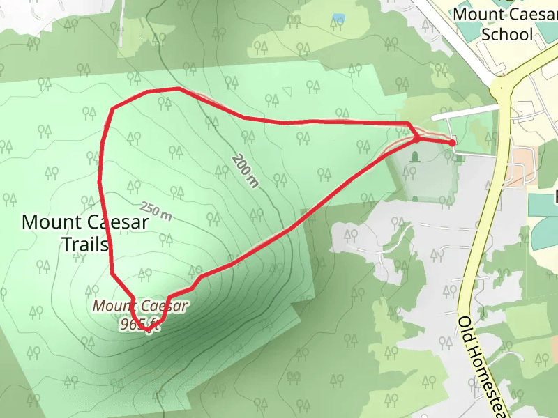 Mount Caesar Loop