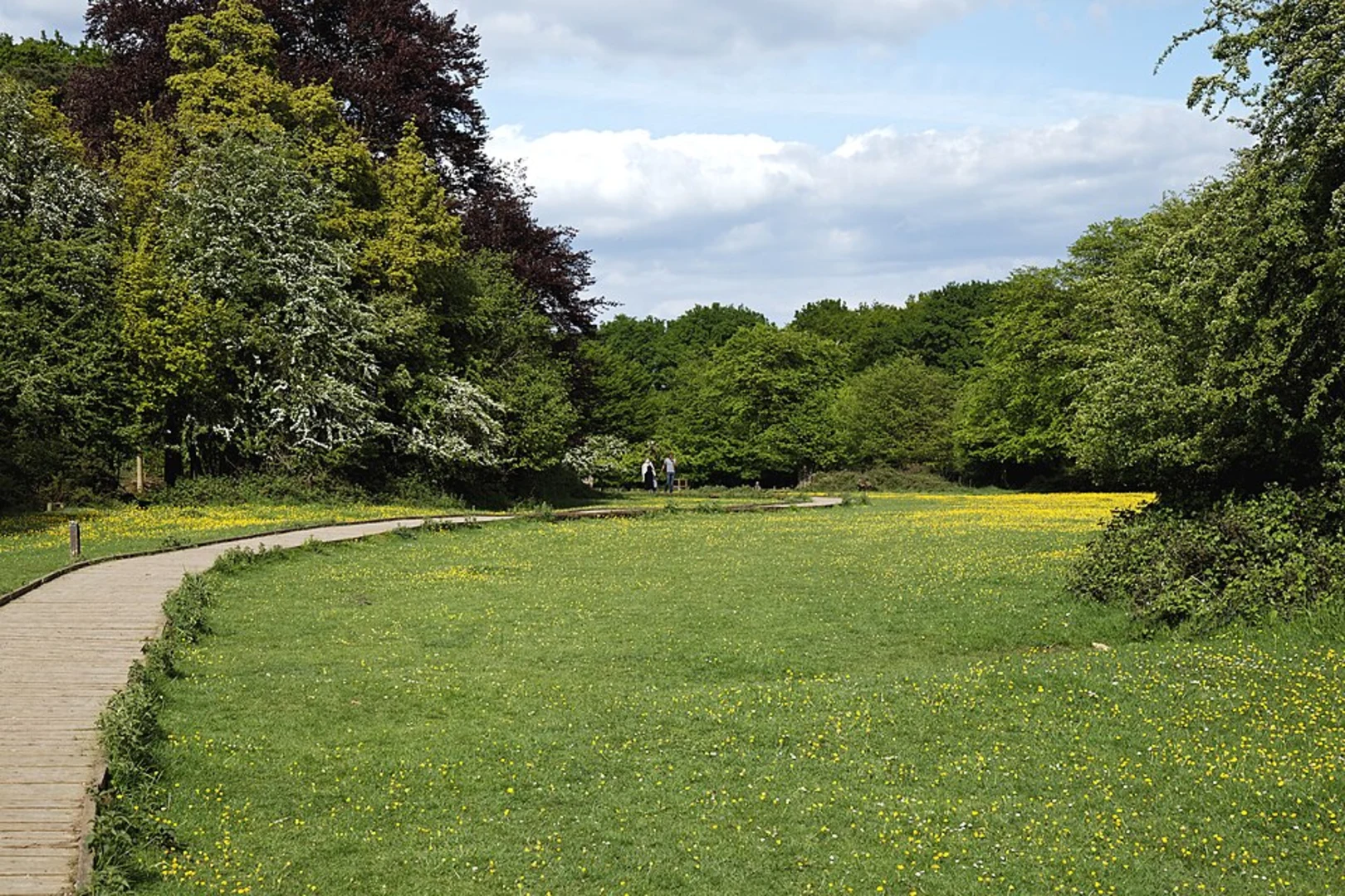 Flitch Way Country Park Loop | Essex | England