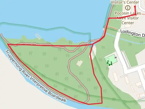 Scuppernong River Interpretive Boardwalk Loop