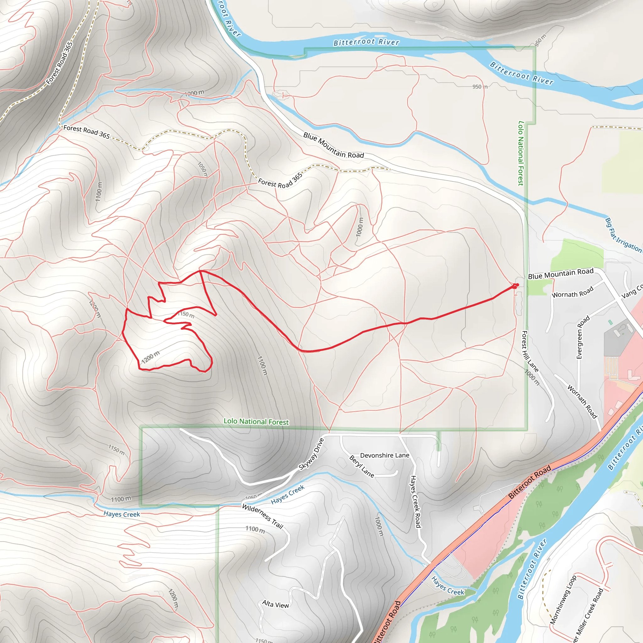 Blue Mountain Hike Loop from Forest Hill Lane mobile static map