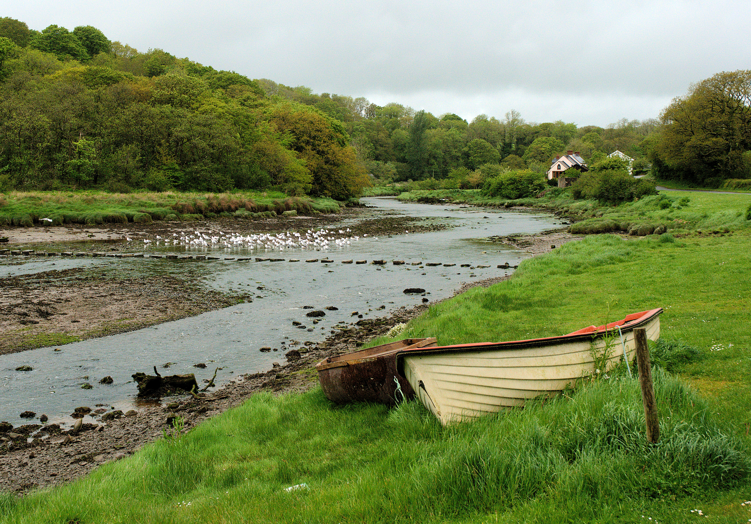 An image depicting the trail Carew - Cresswell Quay and its surrounding area.