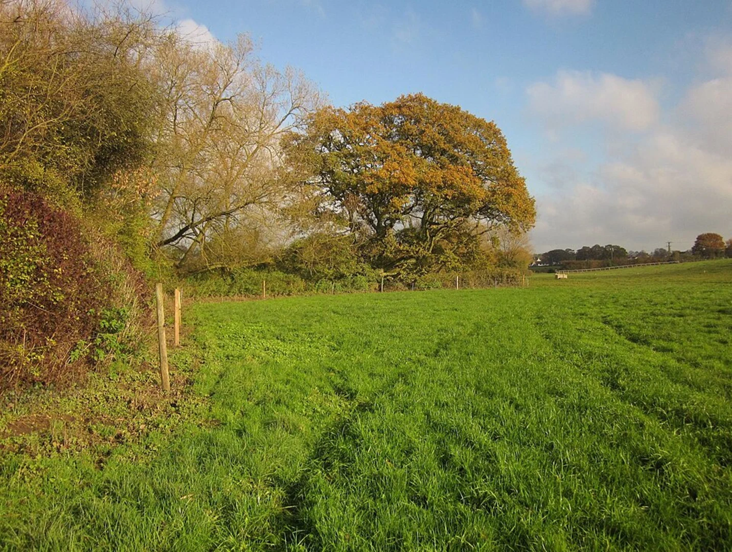 An image depicting the trail Frome Valley Walkway - Yate and its surrounding area.