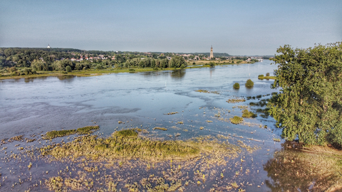 Korevaar, Plas van van Wijck, Ochtensche Buitenpolder and Bemmelsche Loop