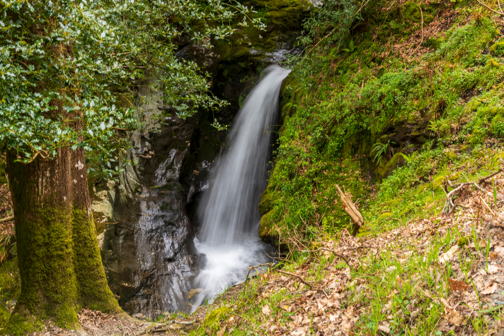 An image depicting the trail Spinc and Wicklow Way - Glendalough and its surrounding area.