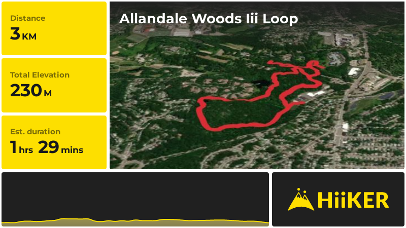 Allandale Woods Iii Loop | Suffolk County | Massachusetts