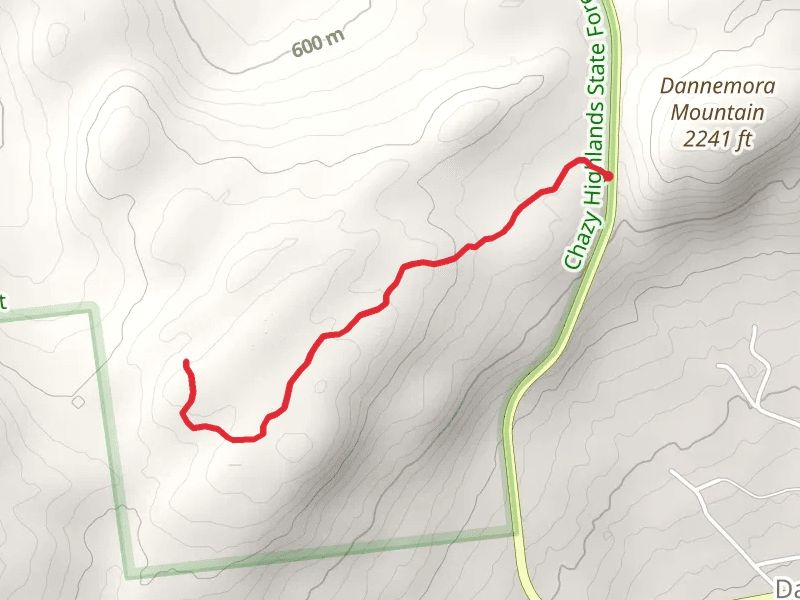 Dannemora State Forest
