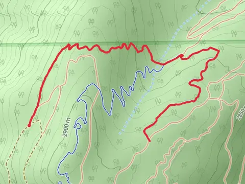 WTB Trail