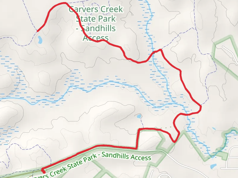 Longleaf Pine Trail