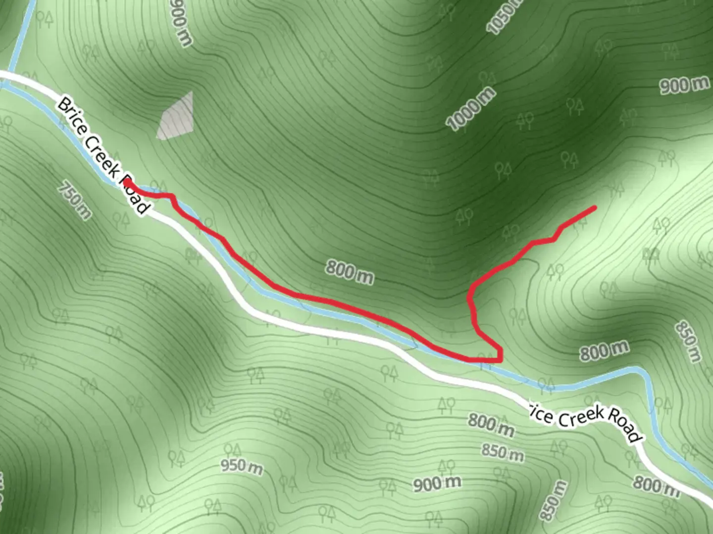 An image depicting the trail Lower Parker Falls via Brice Creek and its surrounding area.