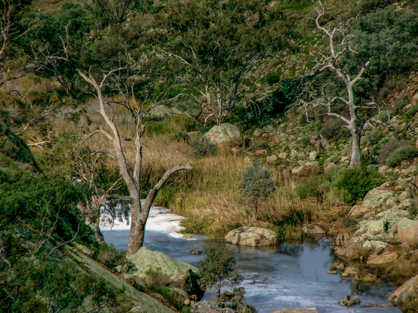 An image depicting the trail Mannum Waterfalls Walking Trail and its surrounding area.