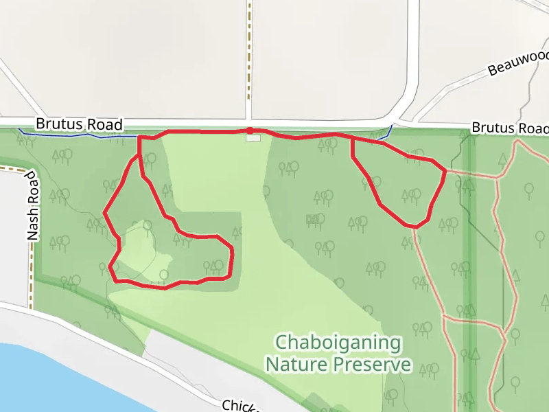Brutus Road Loop