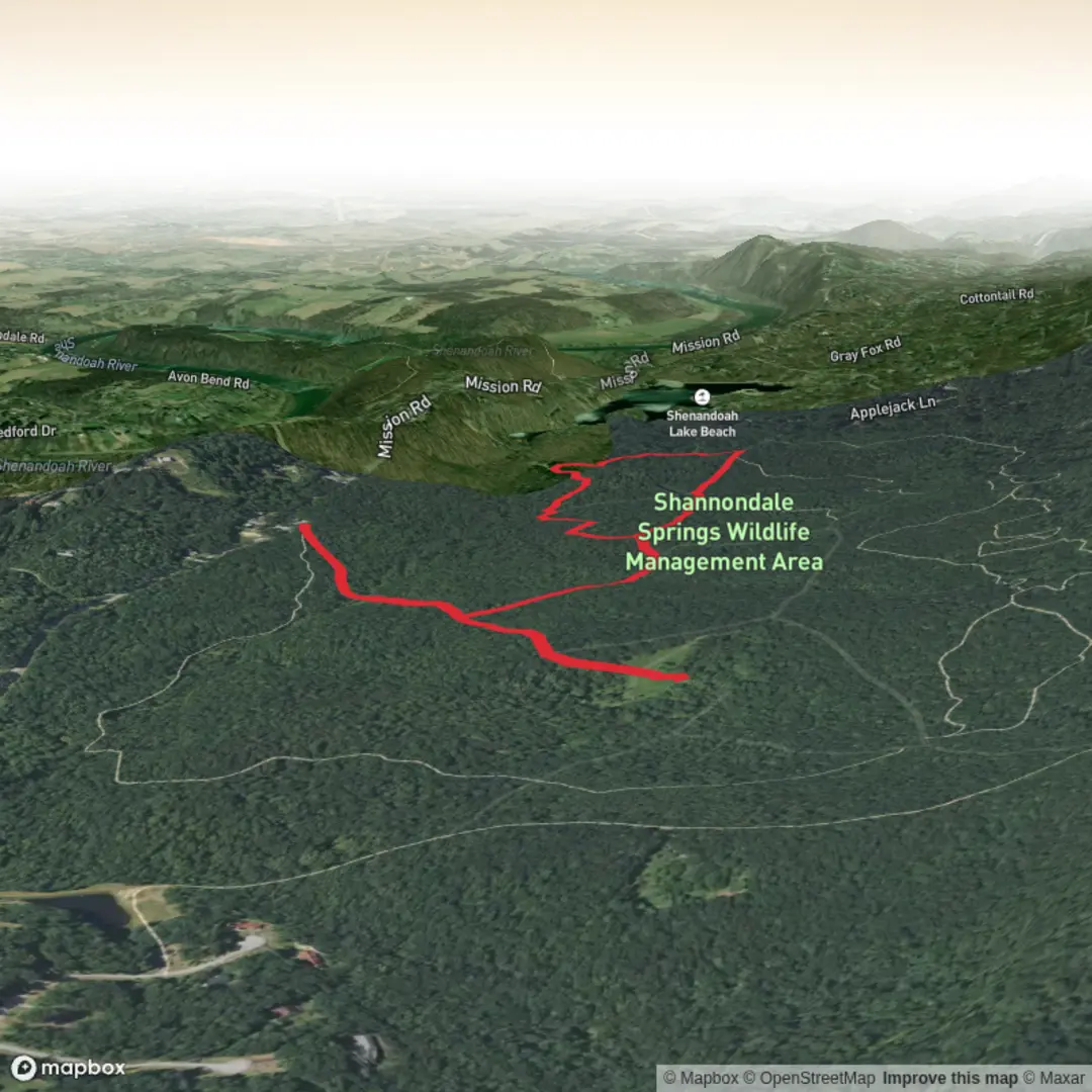 An image depicting the trail Shannondale Springs Trail and its surrounding area.