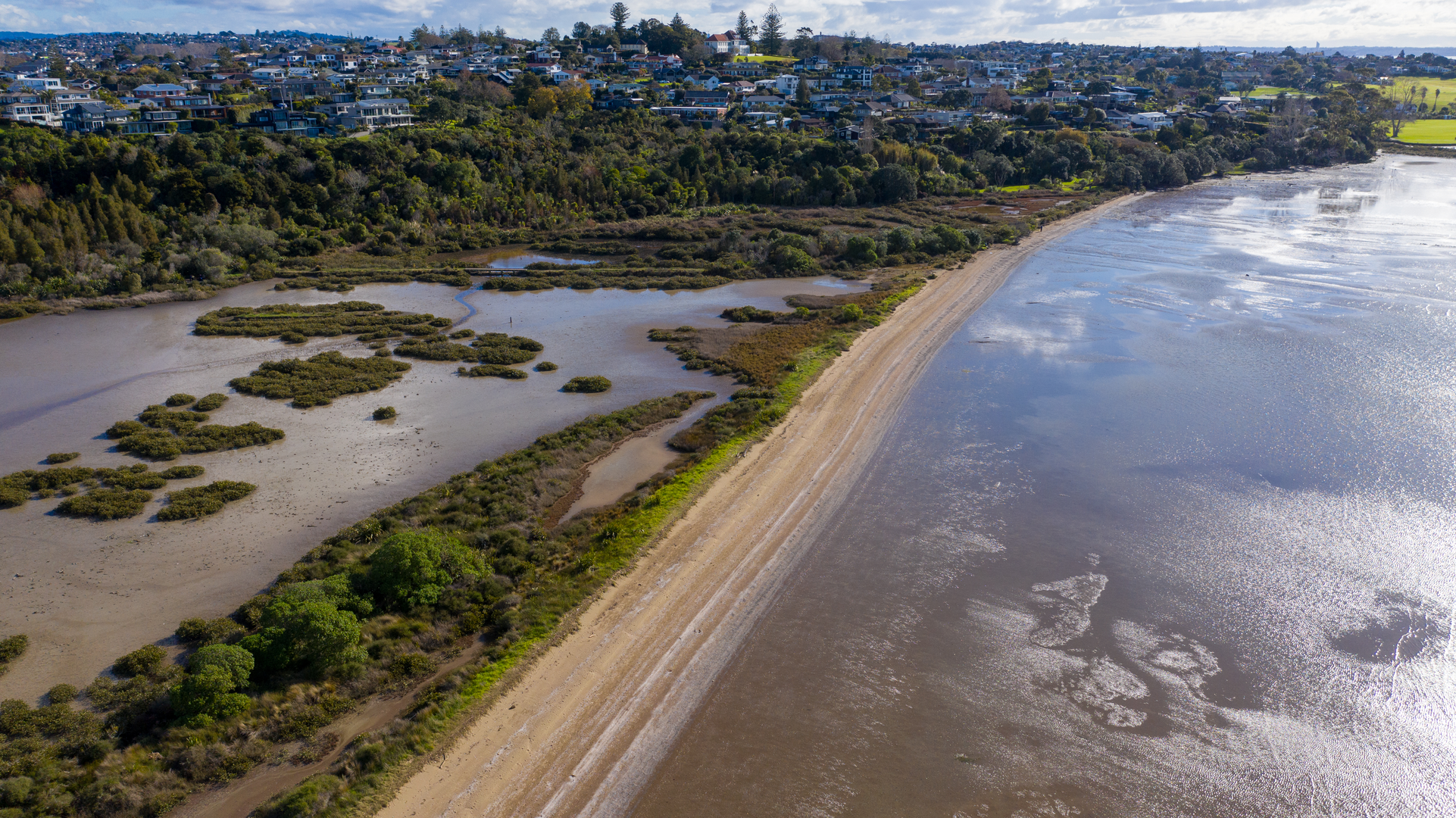 An image depicting the trail Tahuna Torea Lagoon Track and its surrounding area.