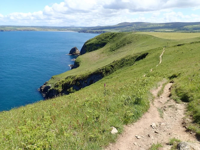 Dinas Head Loop