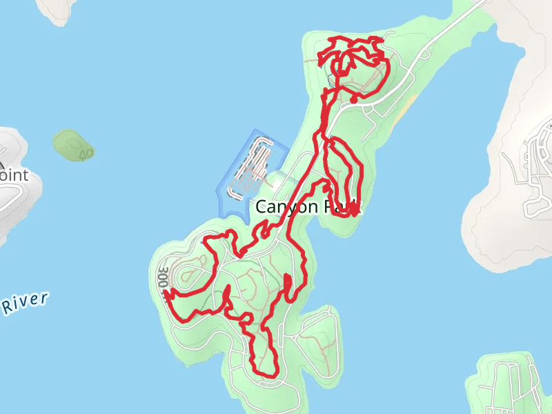 Madrone Loop Trail - Canyon Park