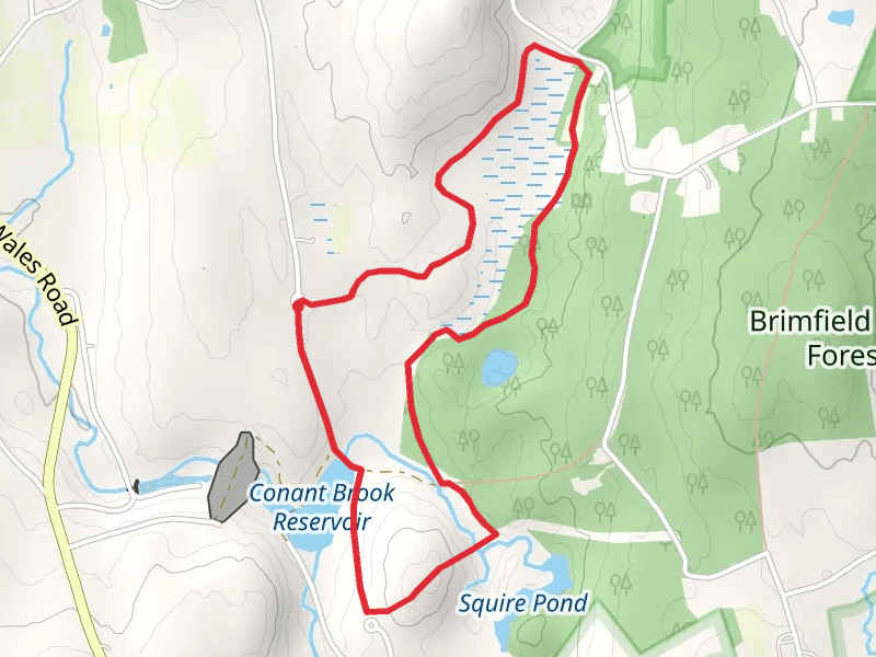 Conant Brook Reservoir Loop