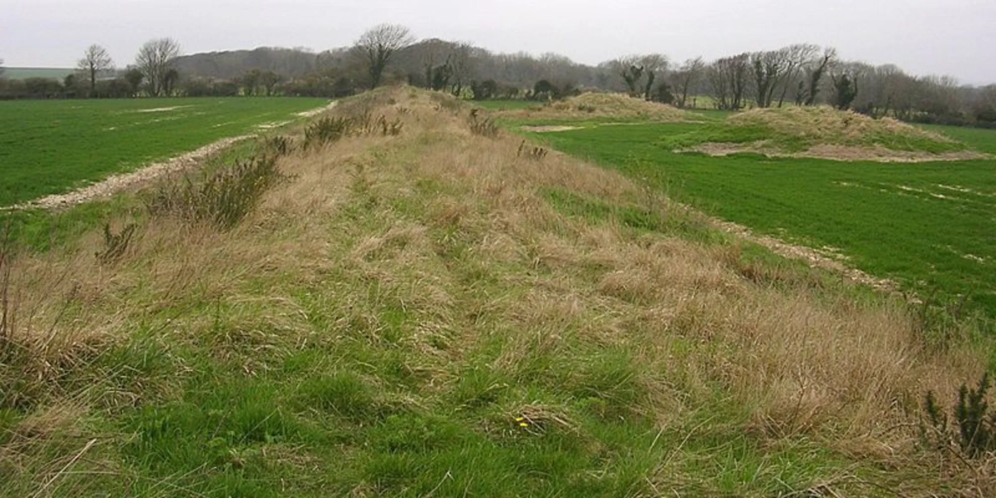 An image depicting the trail Hardy’s High Road Walk and its surrounding area.